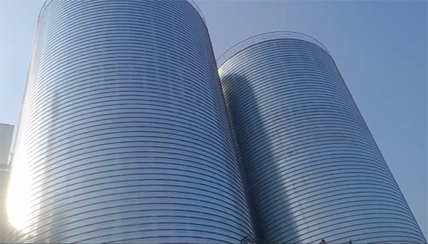 长清2座混凝土高架卷板仓